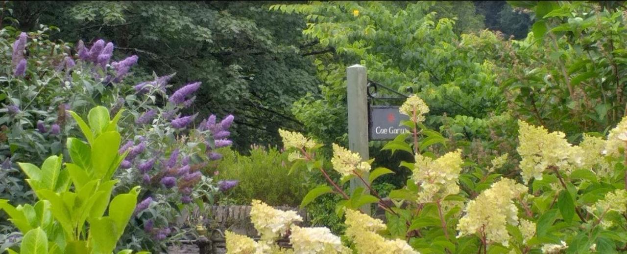 Cae Garw B&B Betws-y-Coed Esterno foto